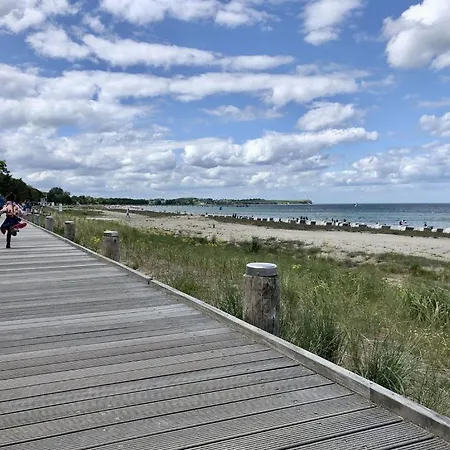 Victoria, Seeschwalbe *