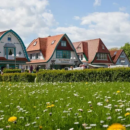 Victoria, Seeschwalbe * Boltenhagen (Ostseebad)